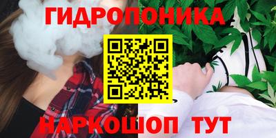 PSILOCYBIN Пушкино