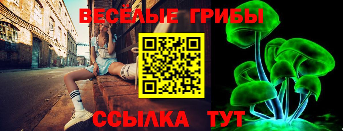 Скопин  купить   Галлюциногенные грибы Cubensis  Вход с VPN  Галлюциногенные грибы Psilocybine cubensis 