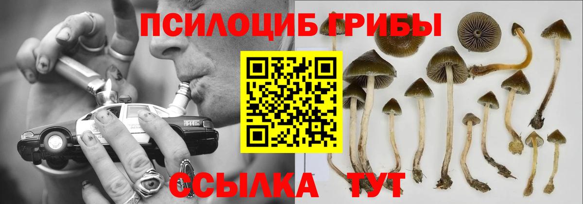 Галлюциногенные грибы мухоморы Скопин
